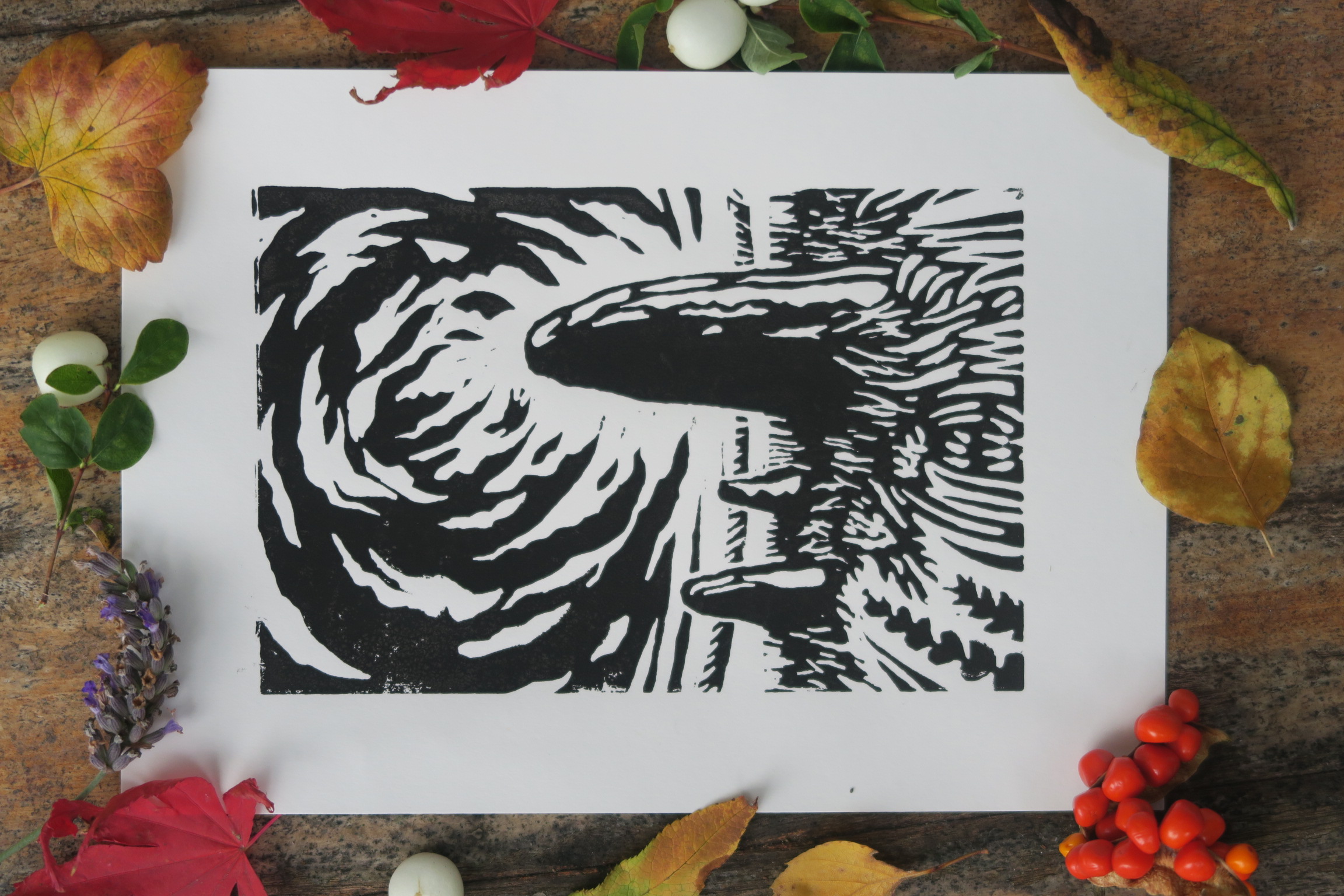 Botanical linoprint of wild flowers